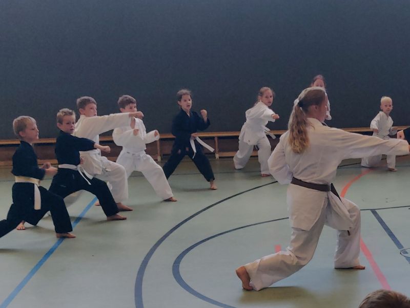 Heike Späthe demonstriert eine Kumite-Technik