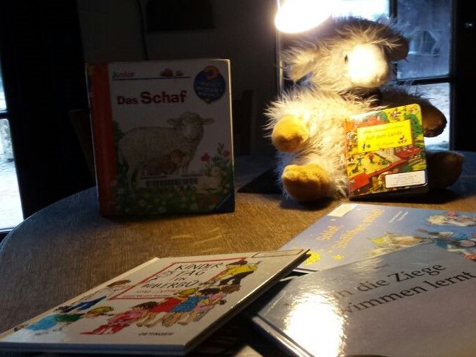 Bücher mit Taschenlampenlicht