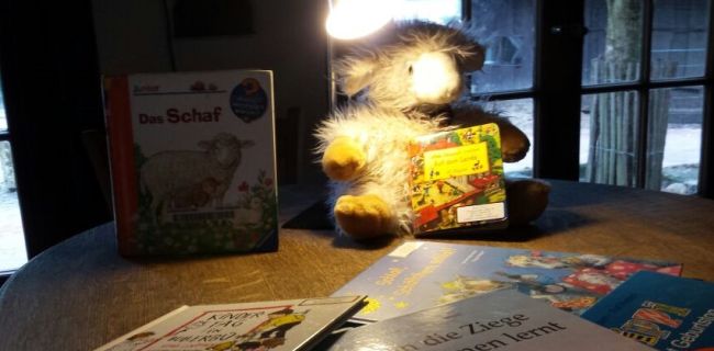 Bücher mit Taschenlampenlicht