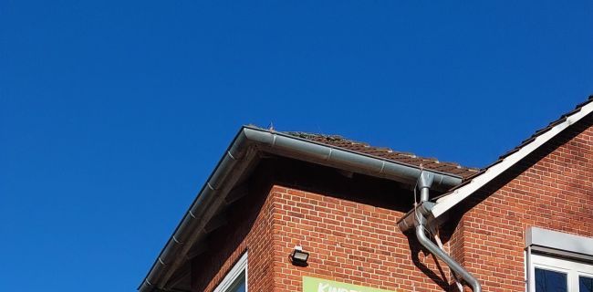 das Eulennest von Außen